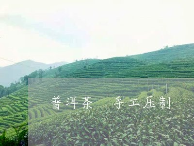 普洱茶 手工压制/2023041088069